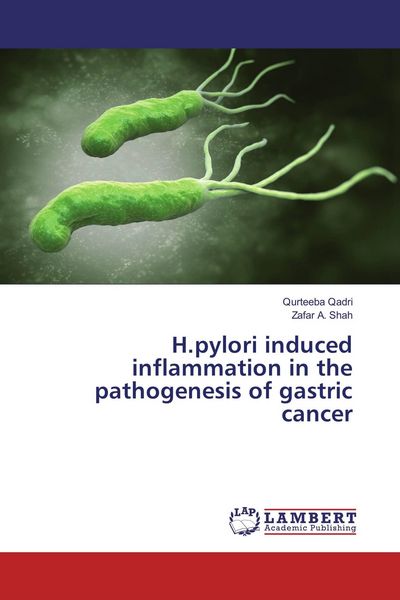 Produktbild: H.pylori induced inflammation in the pathogenesis of gastric cancer
