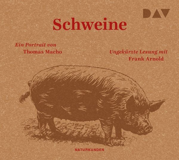 Produktbild: Schweine. Ein Portrait
