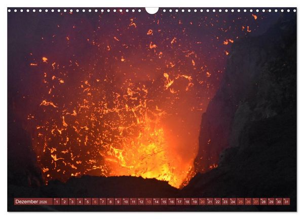 Produktbild: Bunte Wunder der Natur (Wandkalender 2026 DIN A3 quer), CALVENDO Monatskalender