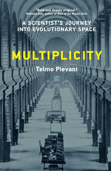 Produktbild: Multiplicity