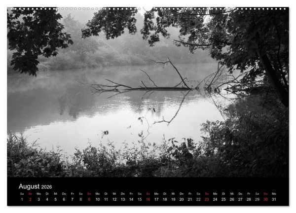 Produktbild: B&auml;ume trees 2026 (Wandkalender 2026 DIN A2 quer), CALVENDO Monatskalender