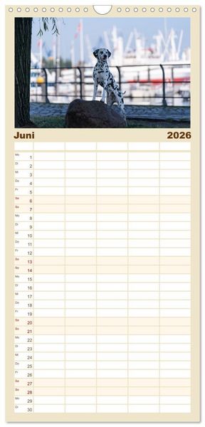 Produktbild: Familienplaner 2026 - Hunde in der City - Unterwegs in Hamburg mit 5 Spalten (Wandkalender, 21 x 45 cm) CALVENDO