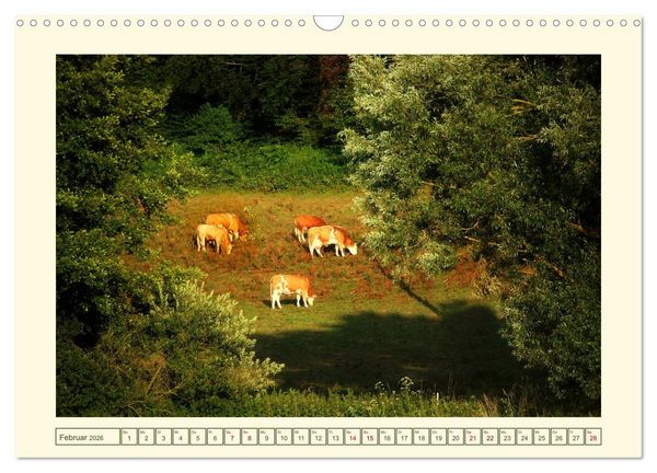 Produktbild: Mein sch&ouml;nes Land - Landliebe Wetterau (Wandkalender 2026 DIN A3 quer), CALVENDO Monatskalender