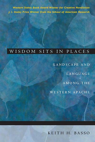 Produktbild: Wisdom Sits in Places