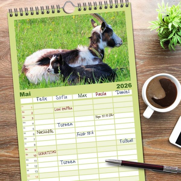 Produktbild: Familienplaner 2026 - Wer zickt denn da? Mit Ziegen durchs Jahr mit 5 Spalten (Wandkalender, 21 x 45 cm) CALVENDO