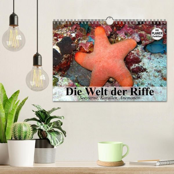 Produktbild: Die Welt der Riffe. Seesterne, Korallen, Anemonen (Wandkalender 2026 DIN A4 quer), CALVENDO Monatskalender