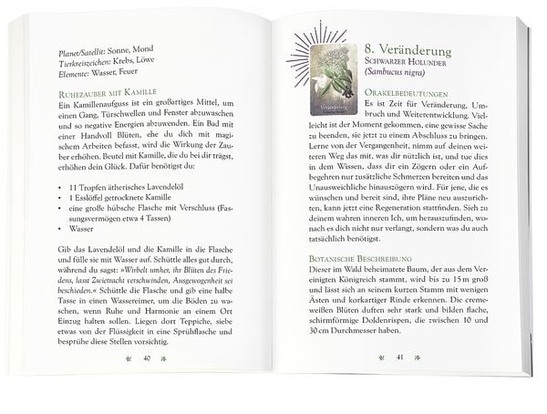 Produktbild: Das magische Orakel der Heilpflanzen