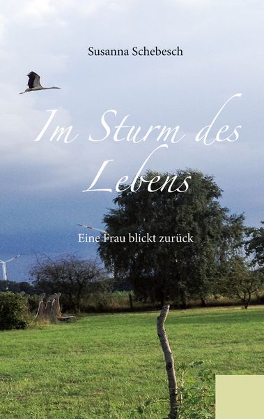 Produktbild: Im Sturm des Lebens