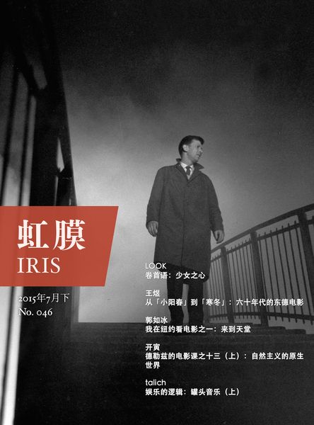 Produktbild: IRIS Jul.2015 Vol.2(No.046) (Chinese Edition)