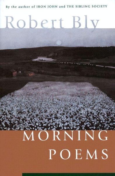 Produktbild: Morning Poems