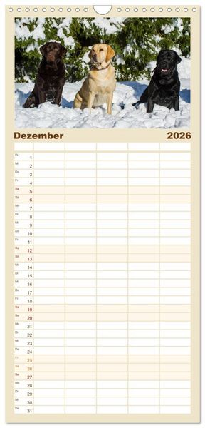 Produktbild: Familienplaner 2026 - Labrador Retriever - Freunde f&uuml;r&acute;s Leben mit 5 Spalten (Wandkalender, 21 x 45 cm) CALVENDO