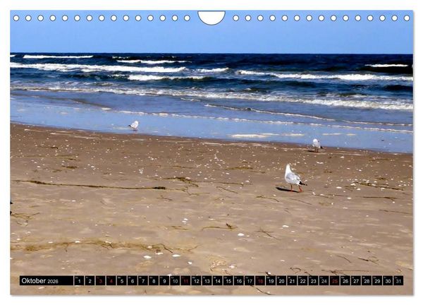 Produktbild: USEDOM - Seeb&auml;der und Naturparadies (Wandkalender 2026 DIN A4 quer), CALVENDO Monatskalender