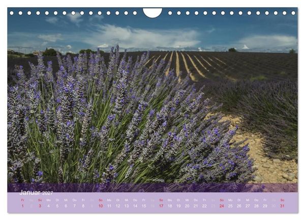 Produktbild: Die Farbe des Lavendels (Wandkalender 2027 DIN A4 quer), CALVENDO Monatskalender