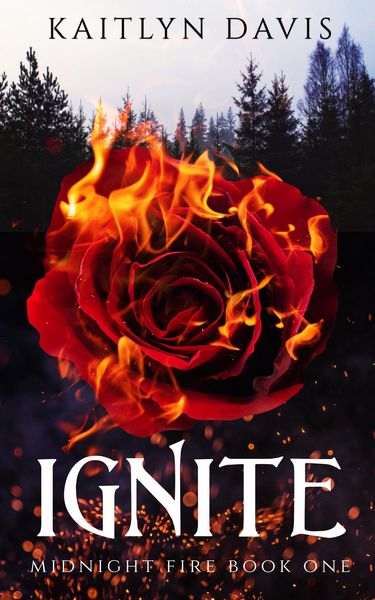 Produktbild: Ignite (Midnight Fire Series Book One)