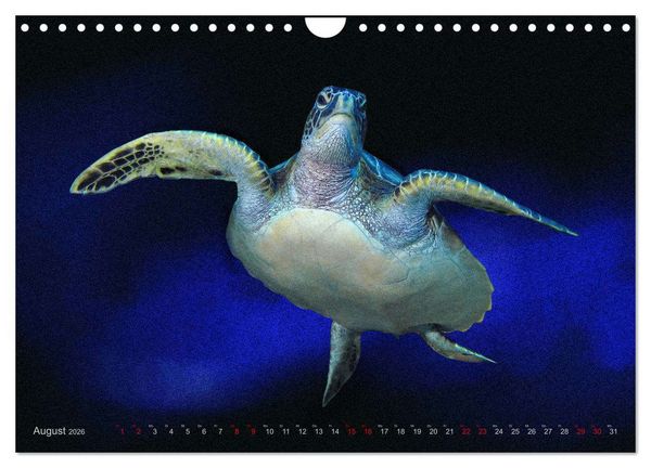 Produktbild: Artwork Unterwasser - Erlebnis Tauchen (Wandkalender 2026 DIN A4 quer), CALVENDO Monatskalender