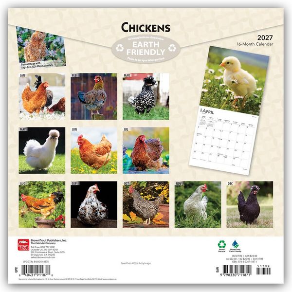 Produktbild: Chickens &ndash; H&uuml;hner 2027 &ndash; 16-Monatskalender