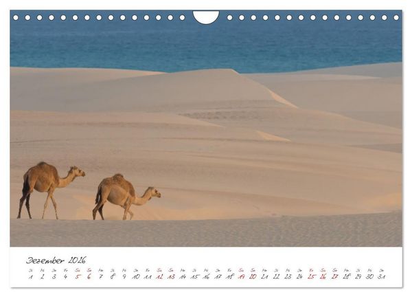 Produktbild: Socotra - Zauberhafte Insel (Wandkalender 2026 DIN A4 quer), CALVENDO Monatskalender
