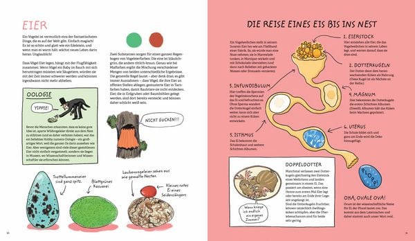 Produktbild: Aus dem Ei geschl&uuml;pft
