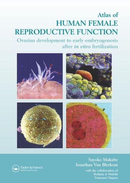 Produktbild: Atlas of Human Female Reproductive Function: Ovarian Development to Early Embryogenesis After in Vitro Fertilization