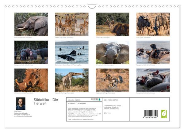 Produktbild: S&uuml;dafrika - Die Tierwelt (Wandkalender 2026 DIN A3 quer), CALVENDO Monatskalender