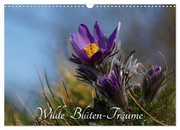 Wilde Blüten-Träume (Wandkalender 2026 DIN A3 quer), CALVENDO Monatskalender
