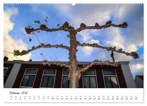 Produktbild: Das Seebad Domburg (Wandkalender 2026 DIN A2 quer), CALVENDO Monatskalender