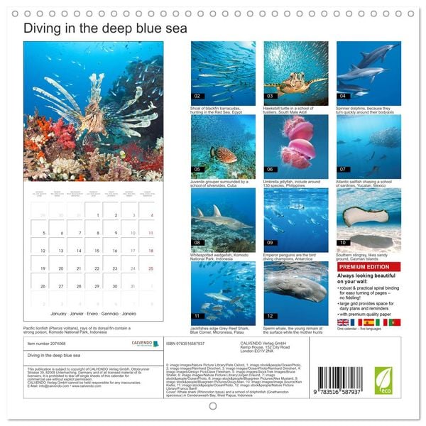 Produktbild: Diving in the deep blue sea (Wall Calendar 2026 12 &times; 12 Inch) CALVENDO 12 Month Wall Calendar