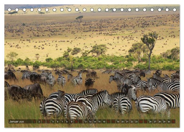 Produktbild: Afrika - Zauber der Wildnis (Tischkalender 2026 DIN A5 quer), CALVENDO Monatskalender