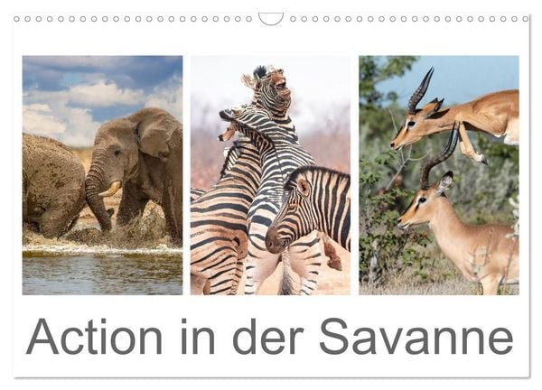 Produktbild: Action in der Savanne (Wandkalender 2026 DIN A3 quer), CALVENDO Monatskalender