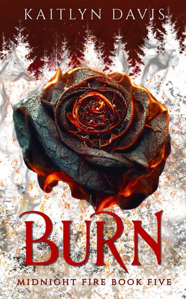 Produktbild: Burn (Midnight Fire Series Book Five)