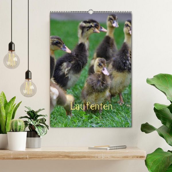 Produktbild: Laufenten (Wandkalender 2026 DIN A2 hoch), CALVENDO Monatskalender