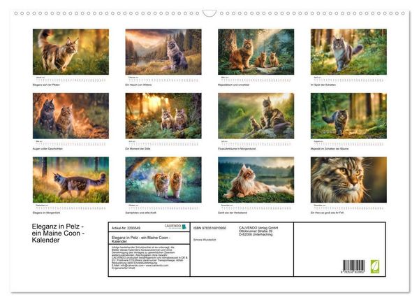 Produktbild: Eleganz in Pelz - ein Maine Coon - Kalender (Wandkalender 2027 DIN A2 quer), CALVENDO Monatskalender