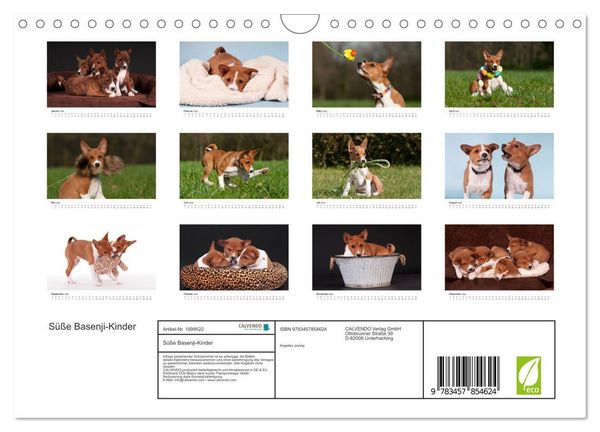 Produktbild: S&uuml;&szlig;e Basenji-Kinder (Wandkalender 2026 DIN A4 quer), CALVENDO Monatskalender