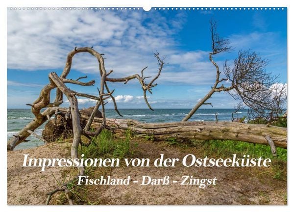 Impressionen von der Ostsee Fischland-Darß-Zingst (Wandkalender 2026 DIN A2 quer), CALVENDO Monatskalender