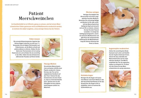 Produktbild: Neugierige Meerschweinchen