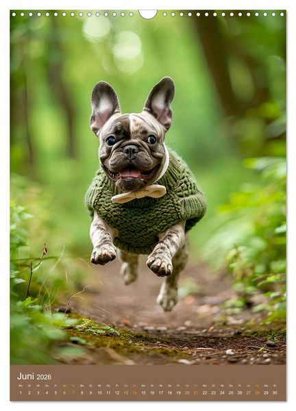 Produktbild: Frenchie Couture - Franz&ouml;sische Bulldoggen in Strick-Chic (Wandkalender 2026 DIN A3 hoch), CALVENDO Monatskalender