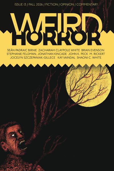 Produktbild: Weird Horror 13