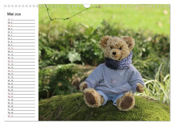 Produktbild: Teddy unterwegs (Wandkalender 2026 DIN A3 quer), CALVENDO Monatskalender