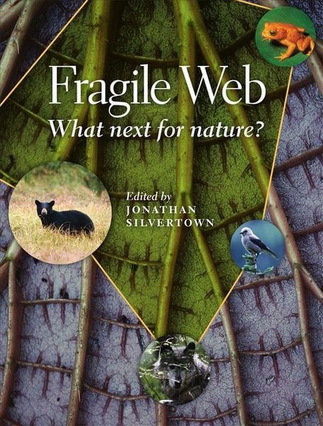 Produktbild: Fragile Web