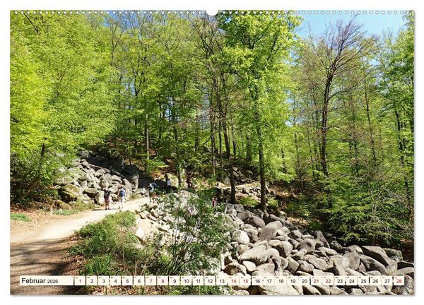 Produktbild: Viele Wege - ein Ziel Wandern im Odenwald (Wandkalender 2026 DIN A2 quer), CALVENDO Monatskalender