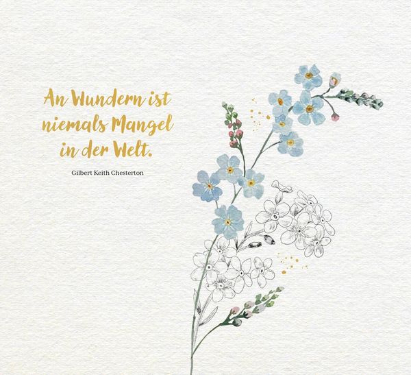 Produktbild: Kleine Wunder in meinem Garten
