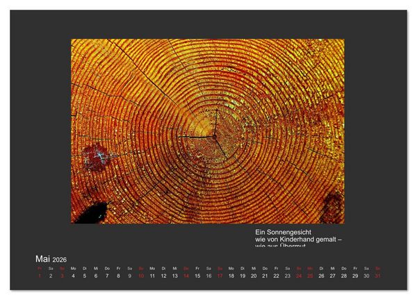 Produktbild: MAGIE HOLZ 2026 (Wandkalender 2026 DIN A3 quer), CALVENDO Monatskalender