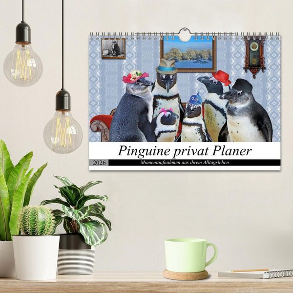 Produktbild: Pinguine privat Planer (Wandkalender 2026 DIN A4 quer), CALVENDO Monatskalender