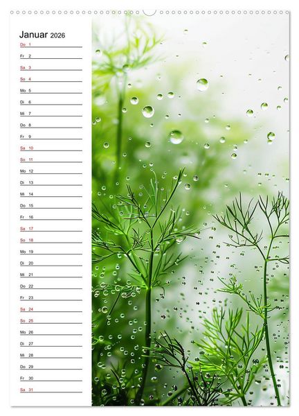 Produktbild: Kr&auml;uterfrische (Wandkalender 2026 DIN A2 hoch), CALVENDO Monatskalender