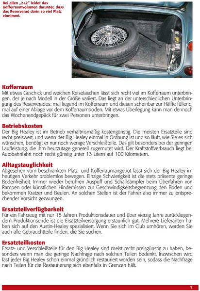 Praxisratgeber Klassikerkauf Austin Healey