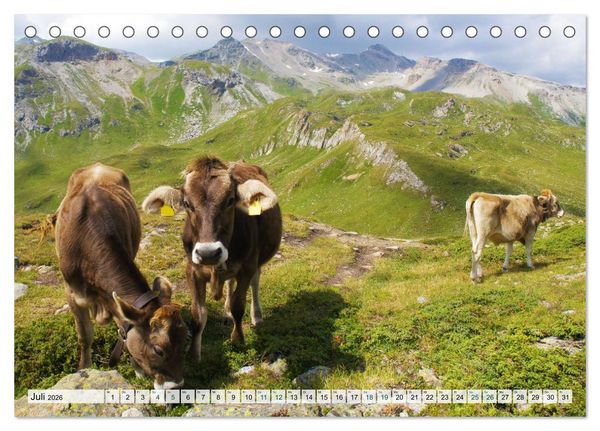 Produktbild: K&uuml;he im Einklang mit der Natur (Tischkalender 2026 DIN A5 quer), CALVENDO Monatskalender