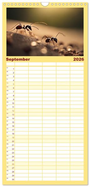 Produktbild: Familienplaner 2026 - Filigrane Insekten mit 5 Spalten (Wandkalender, 21 x 45 cm) CALVENDO