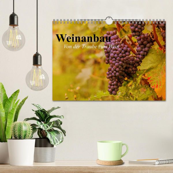 Produktbild: Weinanbau. Von der Traube zum Wein (Wandkalender 2026 DIN A4 quer), CALVENDO Monatskalender