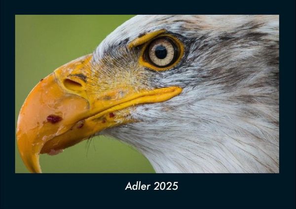 Produktbild: Adler 2025 Fotokalender DIN A4