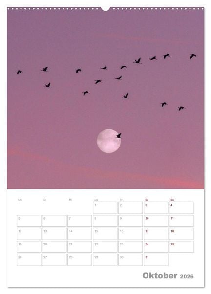 Produktbild: VOLLMOND-Planer - Im Licht der Nacht (Wandkalender 2026 DIN A2 hoch), CALVENDO Monatskalender